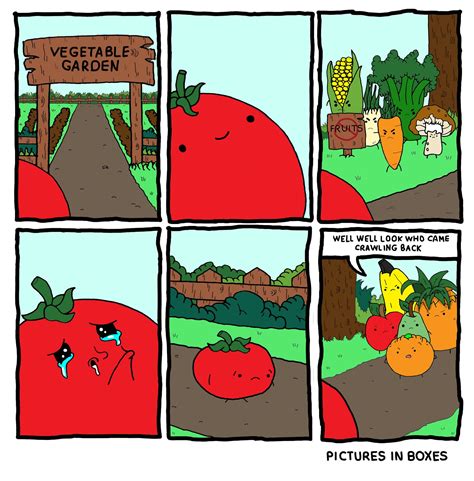 piada do tomate